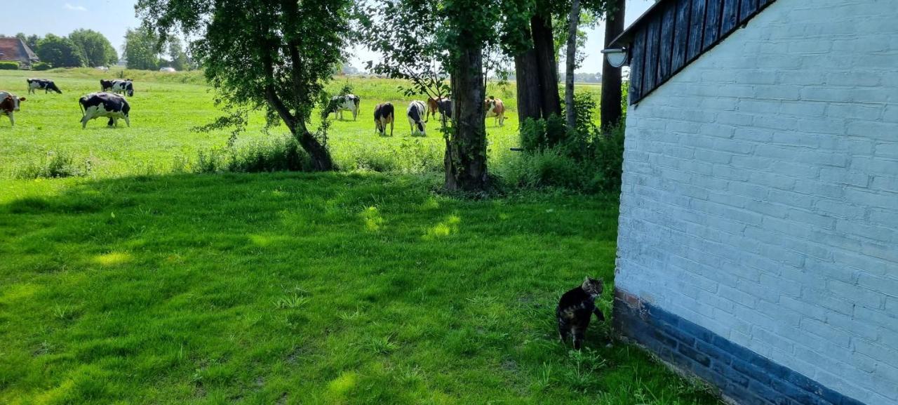 Slapen Bij Bonanza Villa Bantega Екстериор снимка